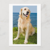 Golden Retriever Puppy Dog Blank Briefkaart (Voorkant)