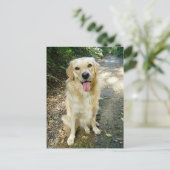 Golden Retriever Puppy Dog Blank Briefkaart (Staand voorkant)