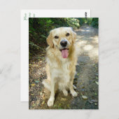 Golden Retriever Puppy Dog Blank Briefkaart (Voorkant / Achterkant)