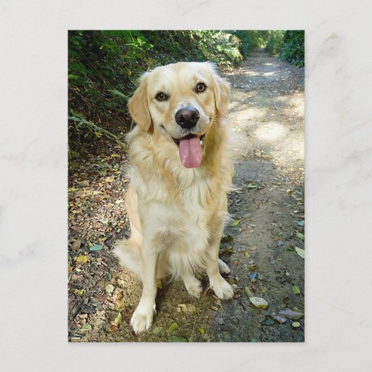 Golden Retriever Puppy Dog Blank Briefkaart (Voorkant)