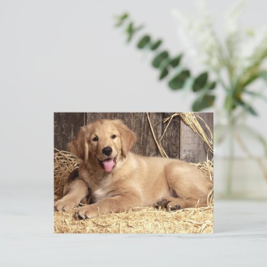 Golden Retriever Puppy Dog Blank Briefkaart (Staand voorkant)