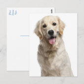 Golden Retriever Puppy Dog Blank Briefkaart (Voorkant / Achterkant)