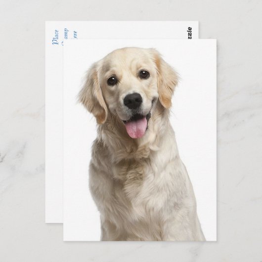 Golden Retriever Puppy Dog Blank Briefkaart (Voorkant / Achterkant)