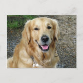 Golden Retriever Puppy Dog Blank Briefkaart (Voorkant)
