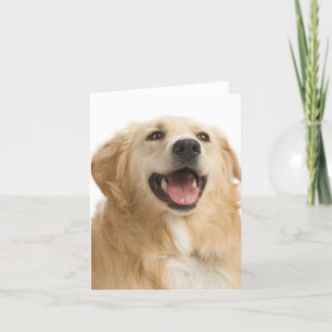 Golden Retriever Puppy Dog Blank Greeting Notecard Kaart