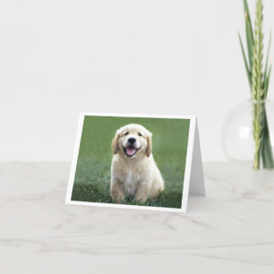 Golden Retriever Puppy Dog Blank Kaart