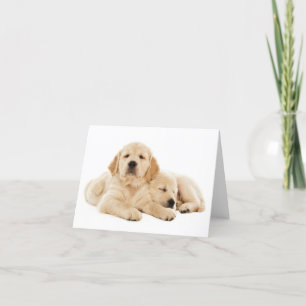 Golden Retriever Puppy Dog Blank Note Kaart