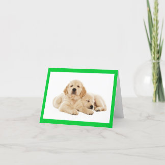 Golden Retriever Puppy Dog Blank Note Kaart