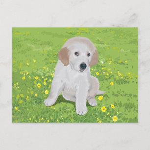 Golden Retriever Puppy Dog Briefkaart