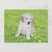 Golden Retriever Puppy Dog Briefkaart (Voorkant)
