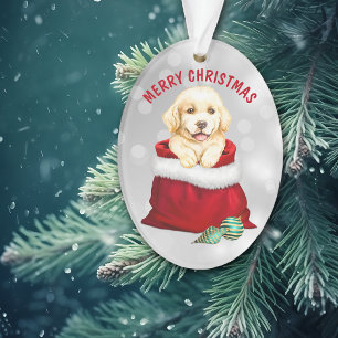Golden Retriever Puppy Dog Gift verrassend Ornamen Ornament