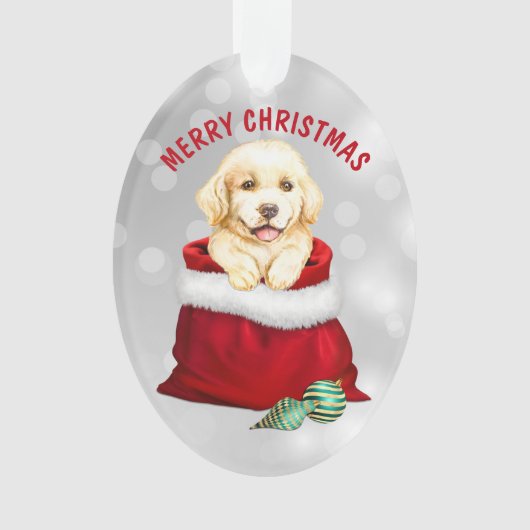 Golden Retriever Puppy Dog Gift verrassend Ornamen Ornament (voorkant)