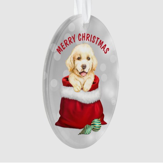 Golden Retriever Puppy Dog Gift verrassend Ornamen Ornament (voorkant)