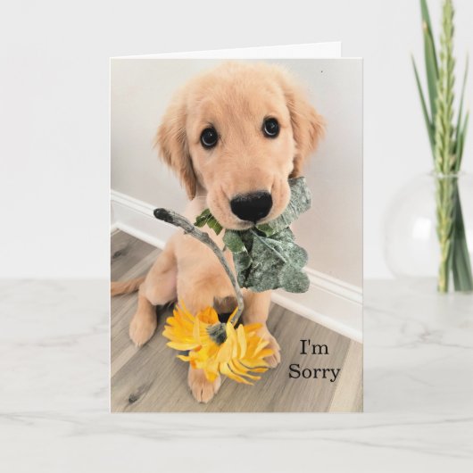 Golden Retriever Puppy Dog Ik ben sorry excuses ka Kaart (Voorkant)