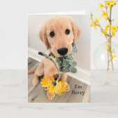 Golden Retriever Puppy Dog Ik ben sorry excuses ka Kaart (Gele Bloem)