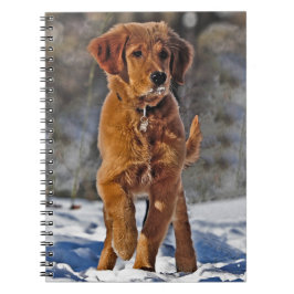 Golden Retriever Puppy Dog in de sneeuw Notitieboek