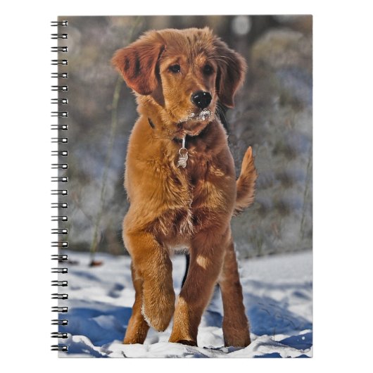 Golden Retriever Puppy Dog in de sneeuw Notitieboek (Voorkant)