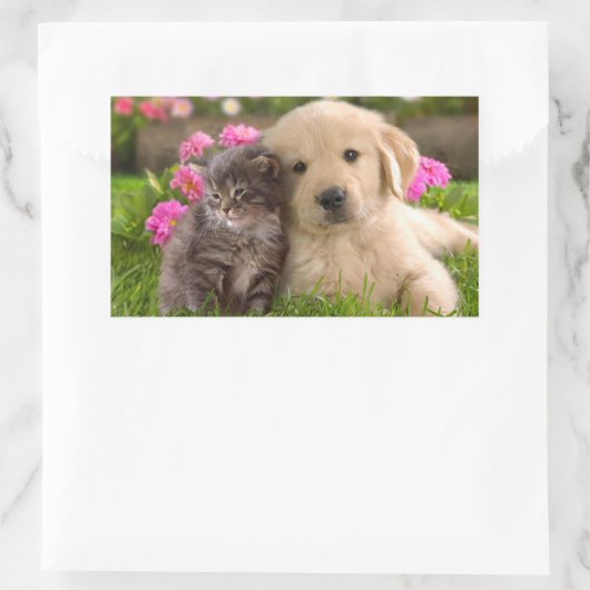 Golden Retriever Puppy Dog & Kitten Sticker (Tas)