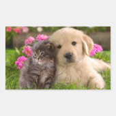 Golden Retriever Puppy Dog & Kitten Sticker (Voorkant)