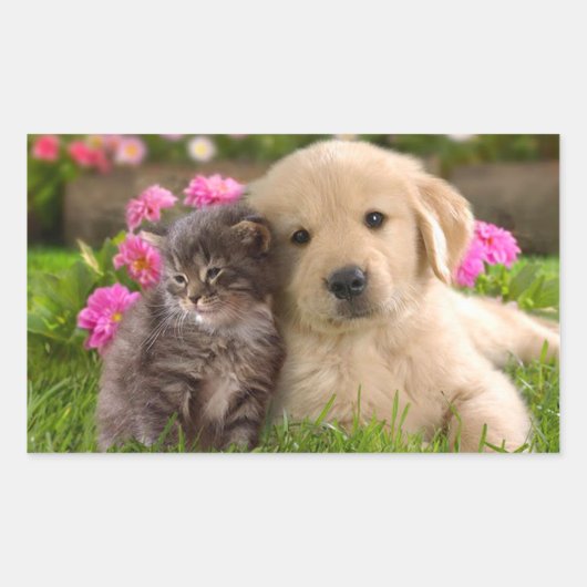 Golden Retriever Puppy Dog & Kitten Sticker (Voorkant)