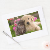 Golden Retriever Puppy Dog & Kitten Sticker (Envelop)