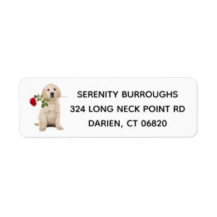 Golden Retriever Puppy Dog Love - Puppies Pup Etiket