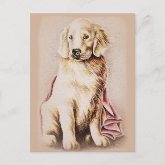 Golden Retriever Puppy dog pet portret tekening Briefkaart (Voorkant)