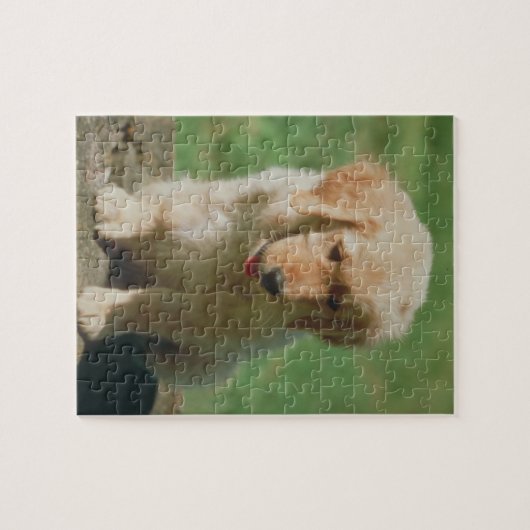 Golden Retriever Puppy Dog Puzzle Legpuzzel (Horizontaal)