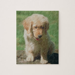 Golden Retriever Puppy Dog Puzzle Legpuzzel