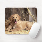 Golden Retriever Puppy Dog Rustic Barn Muismat (Met muis)