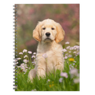Golden Retriever puppy een schattige Goldie Notitieboek