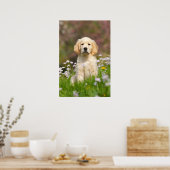 Golden Retriever puppy een schattige Goldie Poster (Keuken)