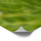 Golden Retriever puppy een schattige Goldie Poster (Hoek)