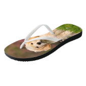 Golden Retriever puppy een schattige Goldie Teenslippers (Schuin)