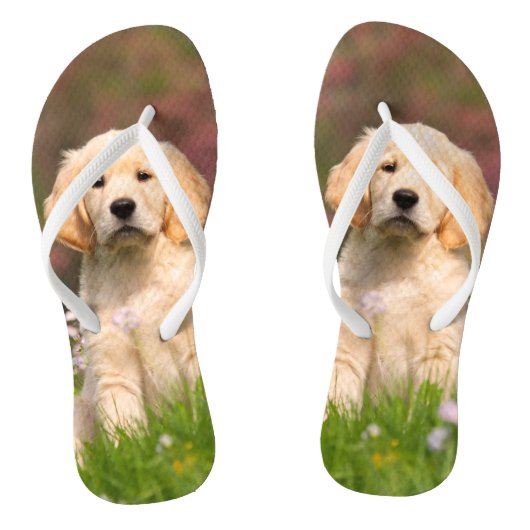 Golden Retriever puppy een schattige Goldie Teenslippers (Voetbed)
