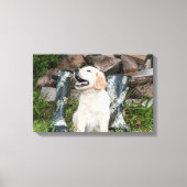Golden Retriever Puppy en Jachtlaarzen Canvas Afdruk (Voorkant)