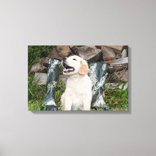Golden Retriever Puppy en Jachtlaarzen Canvas Afdruk (Voorkant)