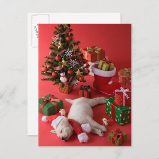 Golden Retriever Puppy en Kerstmis Feestdagenkaart (Voorkant / Achterkant)