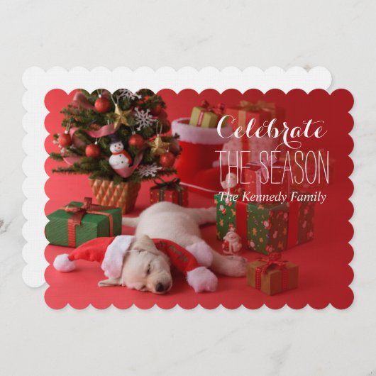 Golden Retriever Puppy en Kerstmis Kaart (Voorkant / Achterkant)