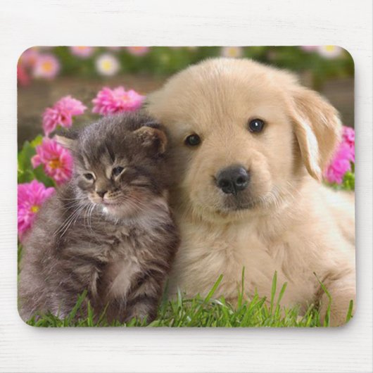 Golden Retriever Puppy en Kitten Muismat (Voorkant)