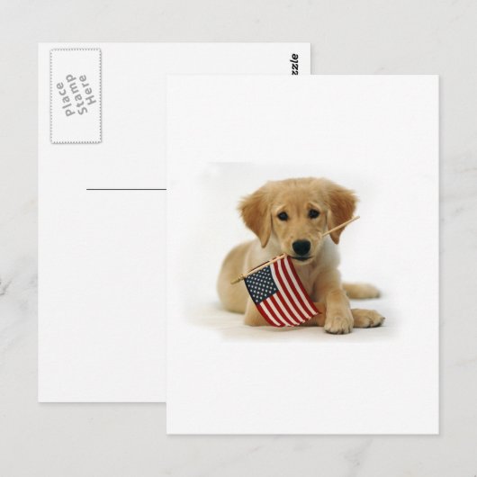 Golden Retriever Puppy en Vlag Briefkaart (Voorkant / Achterkant)