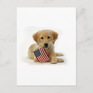 Golden Retriever Puppy en Vlag Briefkaart