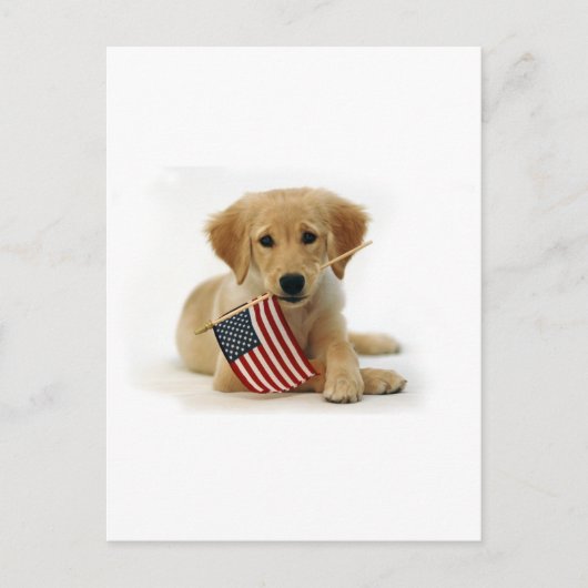 Golden Retriever Puppy en Vlag Briefkaart (Voorkant)