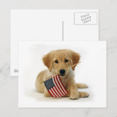 Golden Retriever Puppy en Vlag Briefkaart (Voorkant / Achterkant)