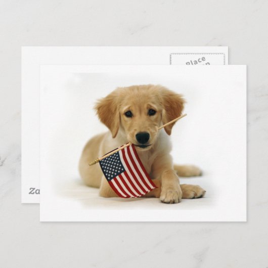 Golden Retriever Puppy en Vlag Briefkaart (Voorkant / Achterkant)