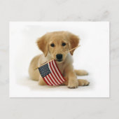 Golden Retriever Puppy en Vlag Briefkaart (Voorkant)