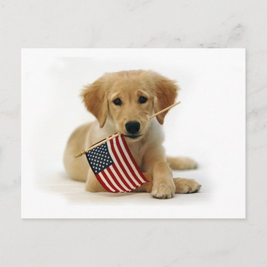 Golden Retriever Puppy en Vlag Briefkaart (Voorkant)