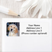 Golden Retriever Puppy Etiket (Insitu)