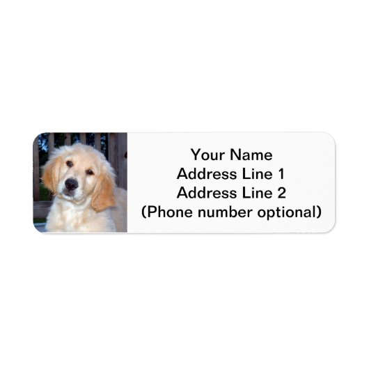 Golden Retriever Puppy Etiket (Voorkant)