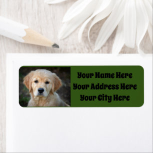 Golden Retriever Puppy Etiket